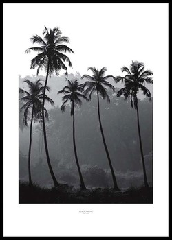 Poster Svarta palmer