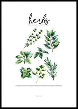 Poster Örtguide i färg