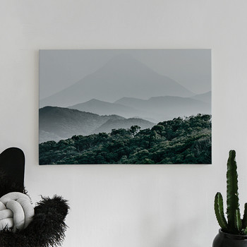 Canvastavla Mountain forest