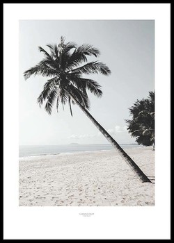 Poster Leaning palm